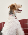 Vintage Top-Grain Pet Leather Collar and Leash Set