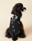 Vintage British Gentleman Pet Vest & Denim Shirt