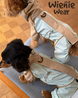 Adventure Shell Lightweight Pet Windbreaker