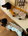 Adventure Shell Lightweight Pet Windbreaker