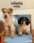Adventure Shell Lightweight Pet Windbreaker
