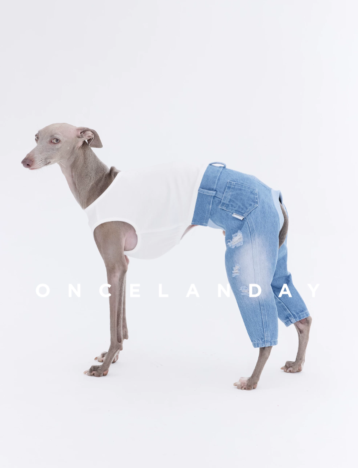 Washed Ripped Baggy Jeans