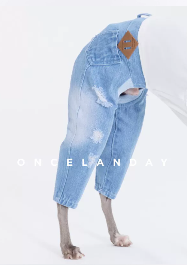 Washed Ripped Baggy Jeans