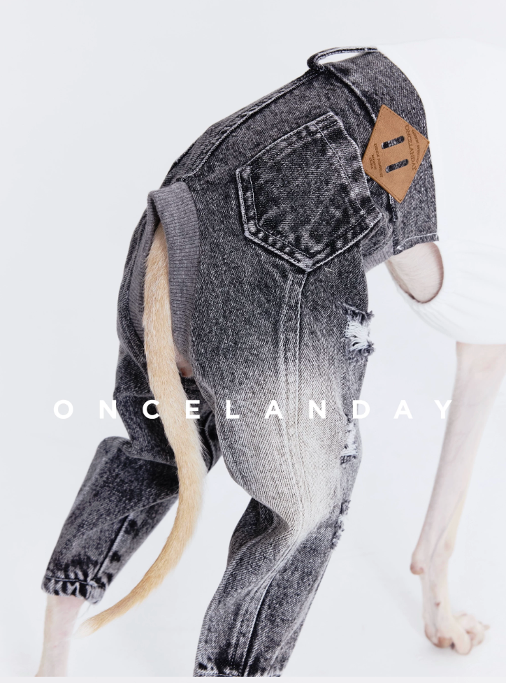 Washed Ripped Baggy Jeans
