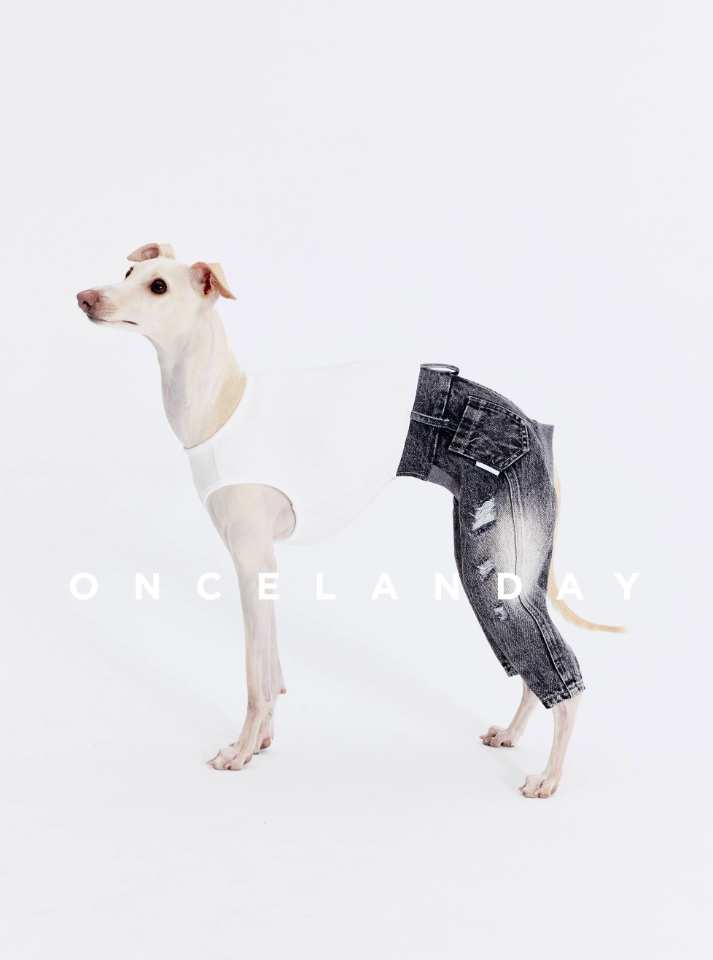 Washed Ripped Baggy Jeans