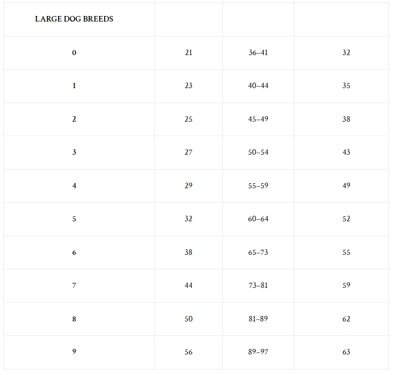 BreezeGuard Rainwear