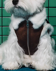 Espresso Auteur Vest (FOR PETS)