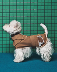 Latte Coco Blazer (FOR PETS)