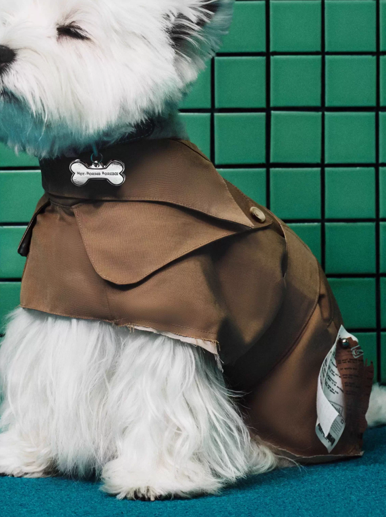 Latte Coco Blazer (FOR PETS)