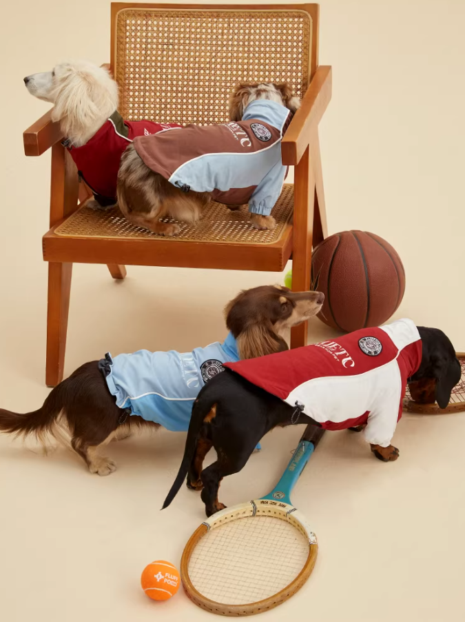 City Elite FC Waterproof Jacket