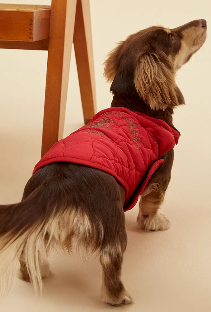 Liverpaw United FC Club Vest