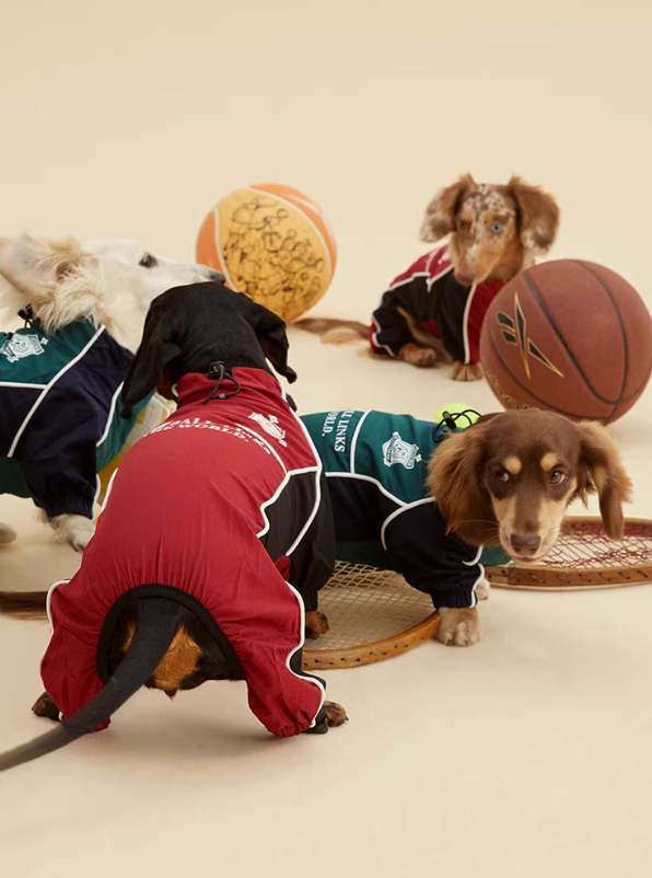 United Paws FC Sport Coat