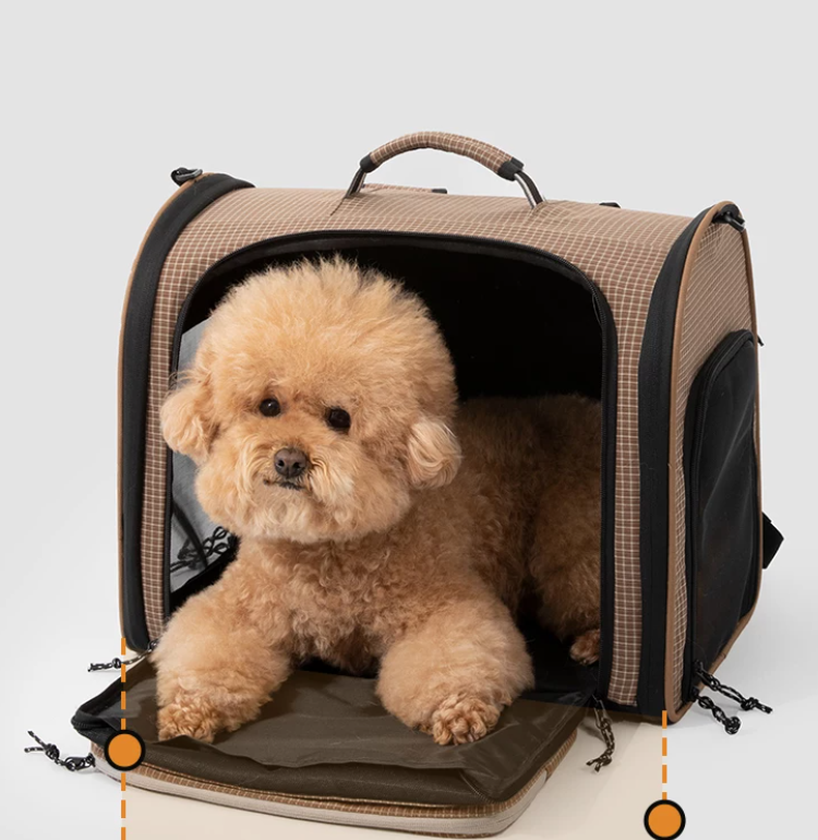 Urban Picnic Backpack Carrier (Pre-Order)
