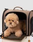 Urban Picnic Backpack Carrier (Pre-Order)