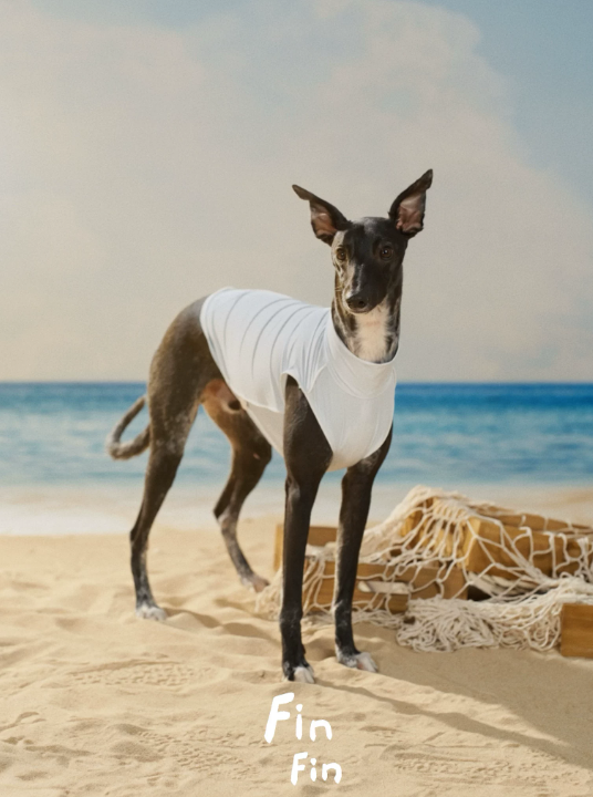 Capri Summer Cooling Vest &amp; Bandana Set