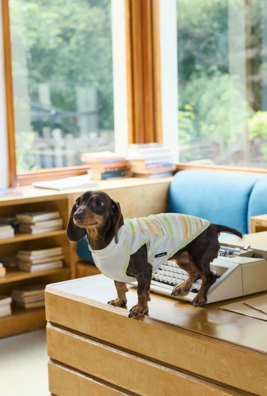 Lemonade Stripe Cooling Tee