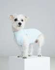Beach Bunny Cooling Vest