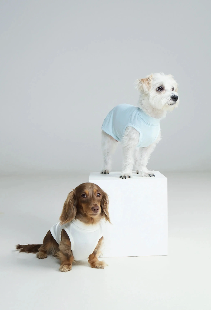 Beach Bunny Cooling Vest