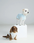Beach Bunny Cooling Vest