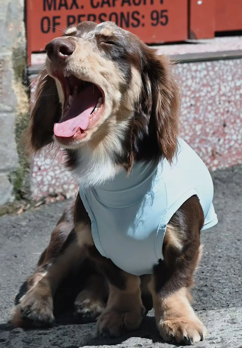 Beach Bunny Cooling Vest