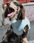 Beach Bunny Cooling Vest