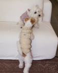 Lavender Mousse Ruffle Vest