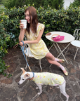 Little Dog House Floral Mini Dress
