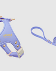Color Gemstone Harness