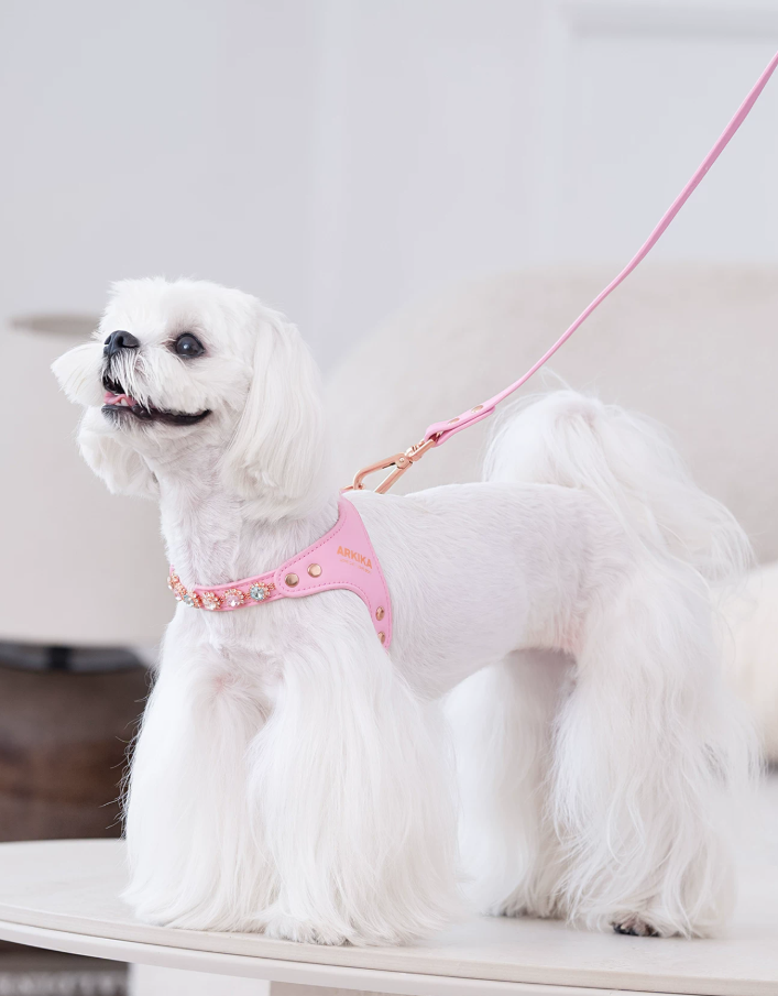 Color Gemstone Harness