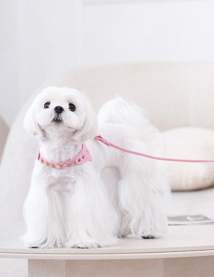 Color Gemstone Harness