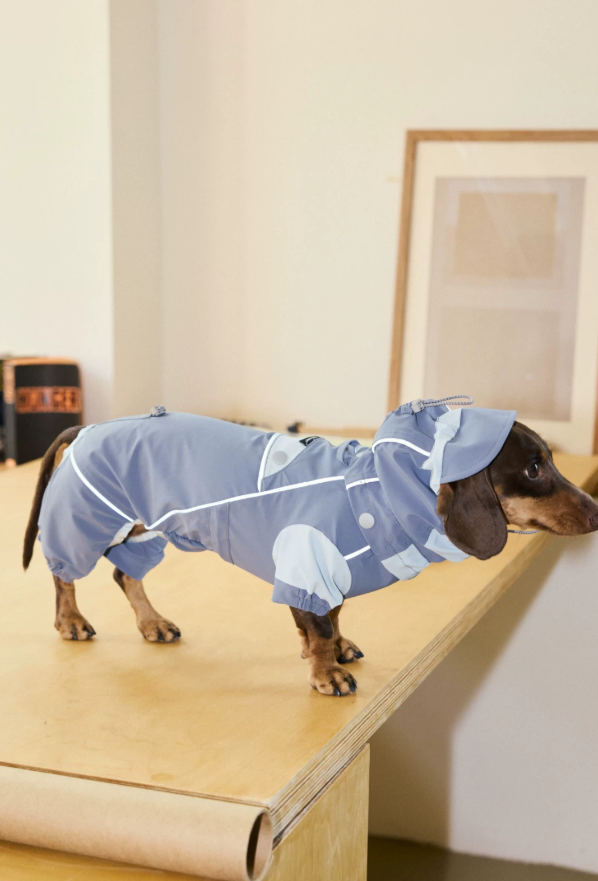 Monsoon Veil Outdoor Raincoat