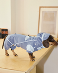 Monsoon Veil Outdoor Raincoat