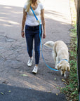 Wagged 4-in-1 Convertible Hands Free All Weatherproof Dog Leash | Sky Blue