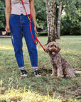 Wagged 4-in-1 Convertible Hands Free All Weatherproof Dog Leash | Red