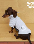 MetroPaws Adventure Sweatshirt