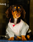 Varsity Pup Sweatshirt