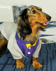 Varsity Pup Sweatshirt