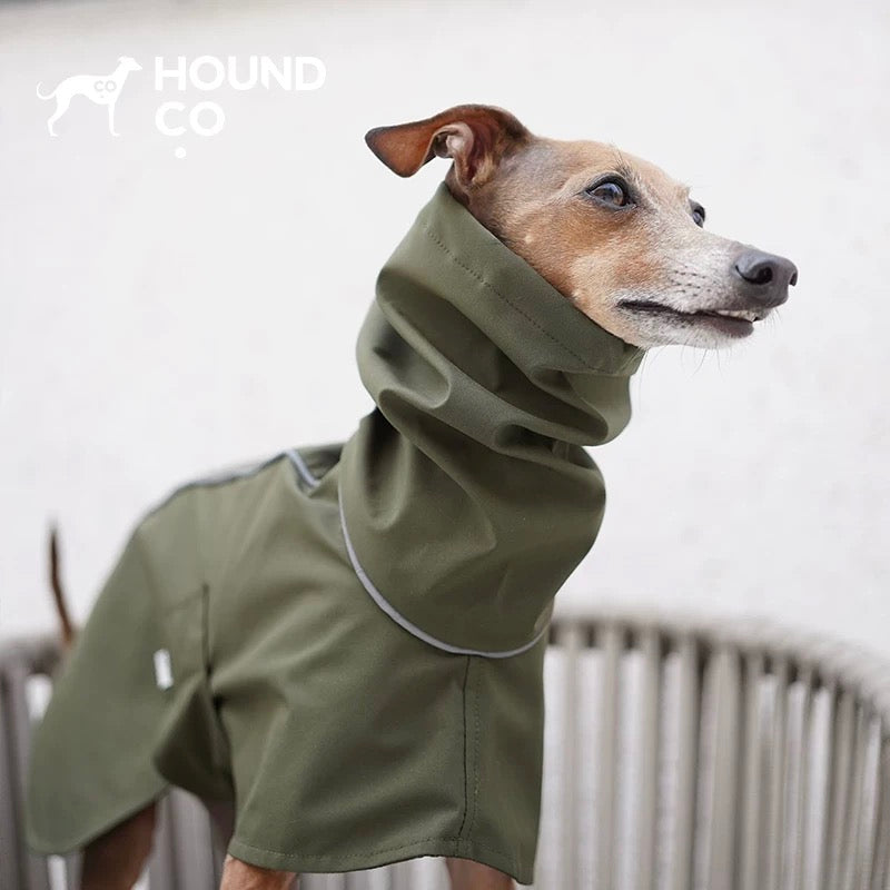 we offer everything to keep your pets happy, healthy, and fashionable. Shop now and show your furry friends how much you care!