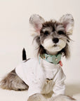 Mokamoka Pet T-Shirt for Small Dogs and Cats