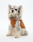 Lightweight Down Pet Vest