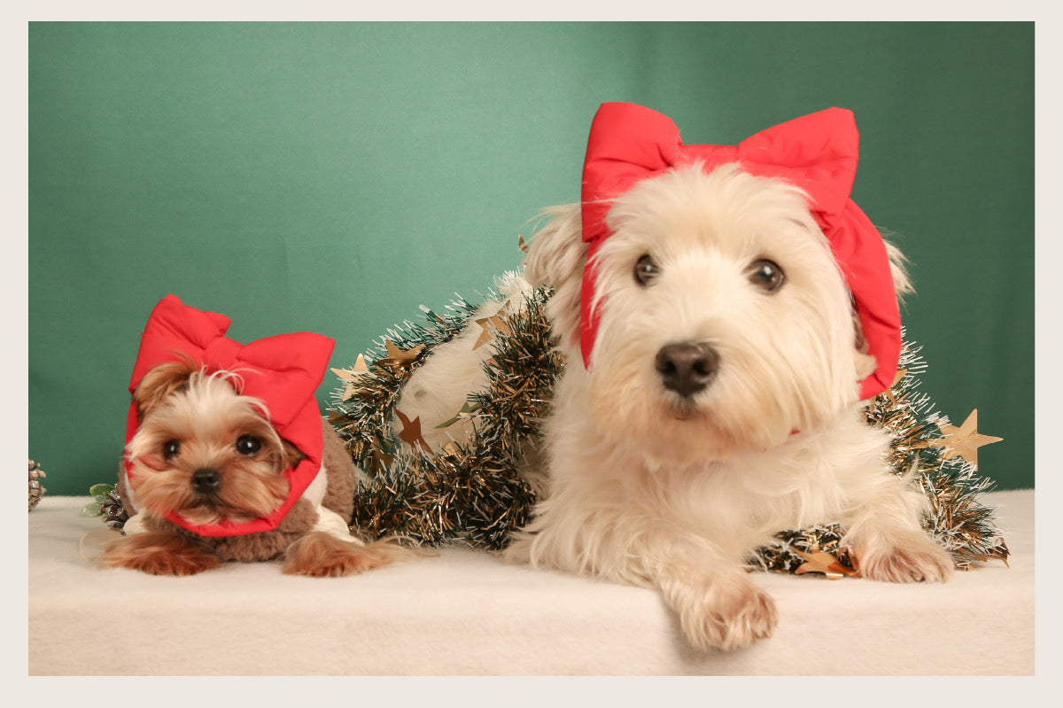 Festive Bow Bubble Scarf