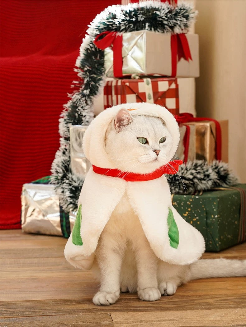 Snowman-inspired Pet Cape