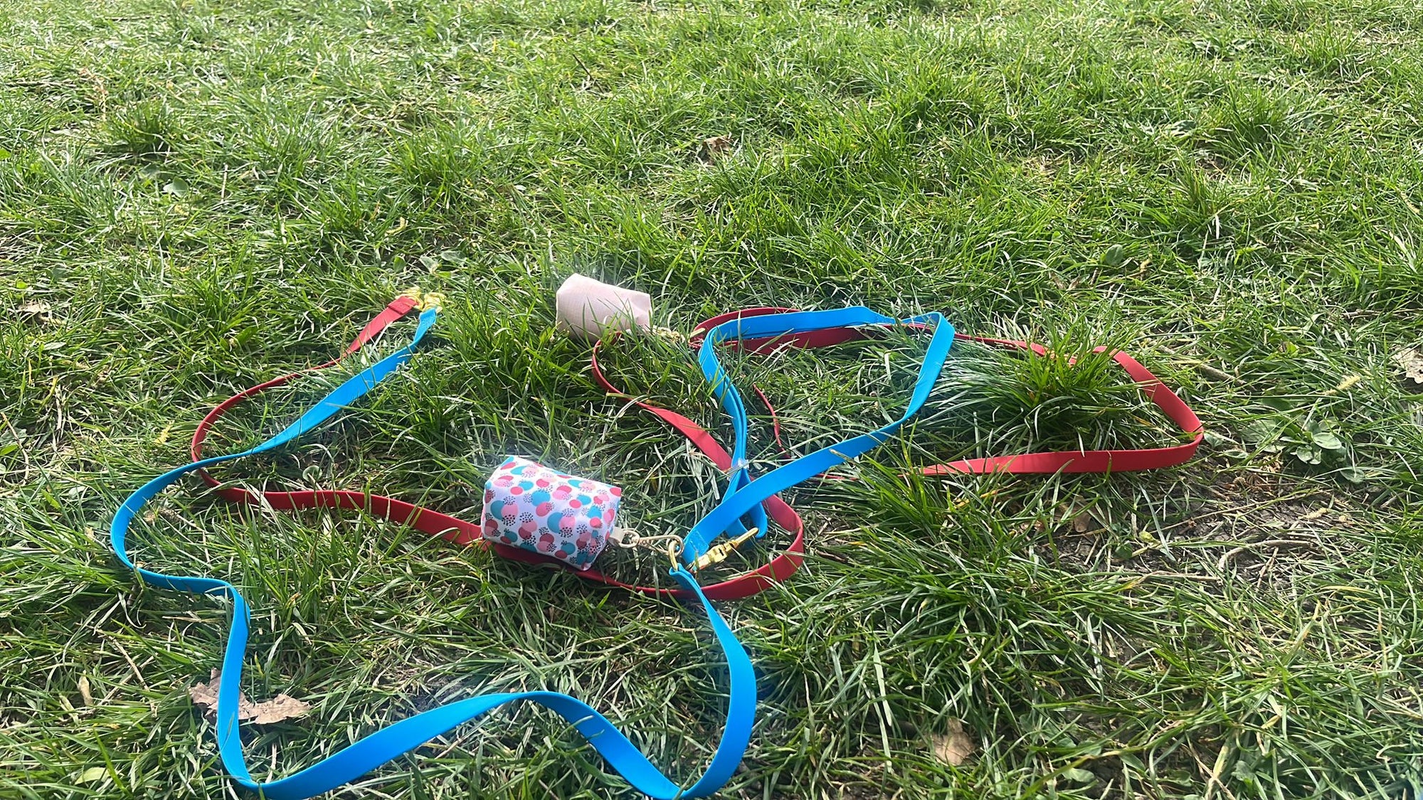 Wagged 4-in-1 Convertible Hands Free All Weatherproof Dog Leash | Black