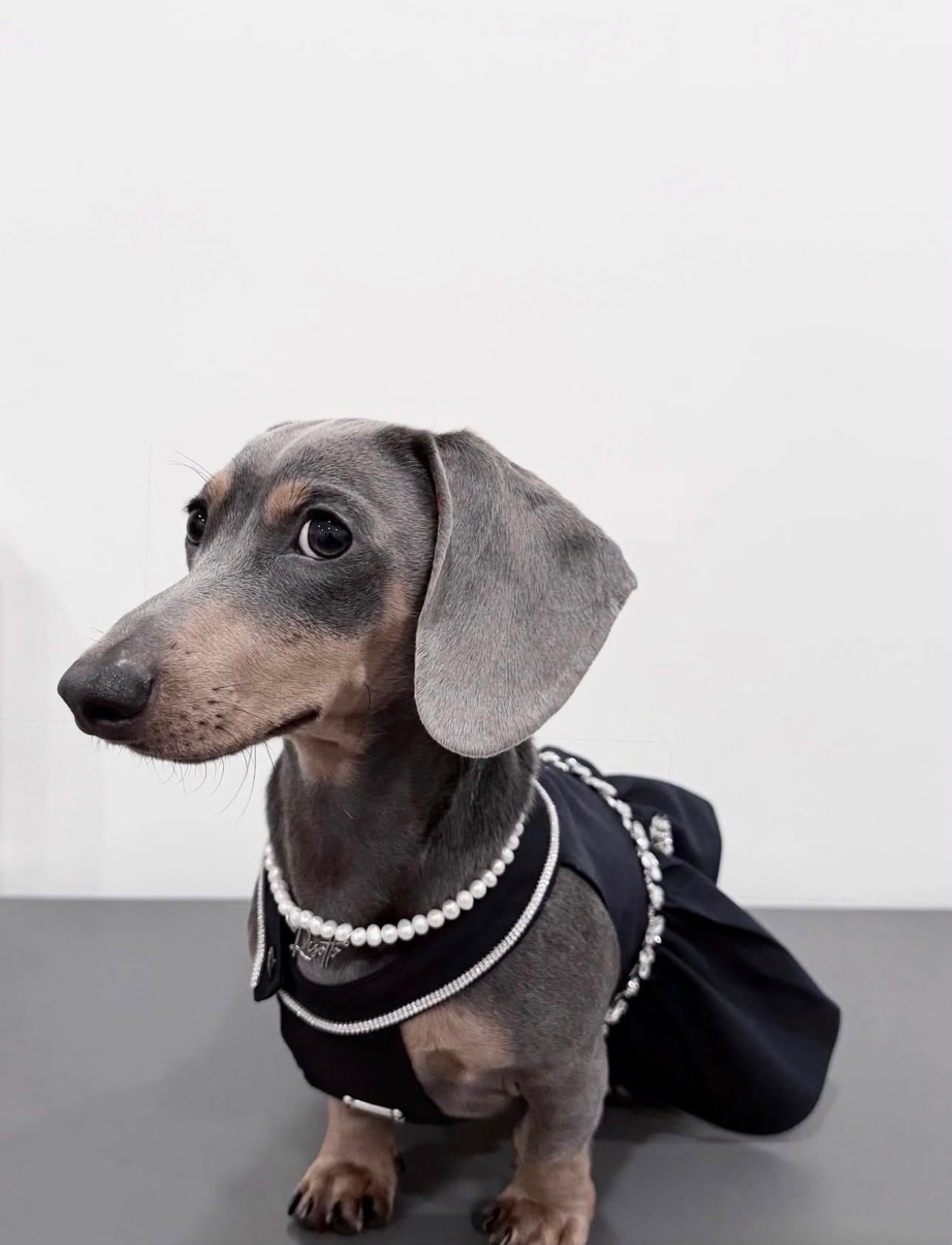 Banquet Diamond Little Black Dress