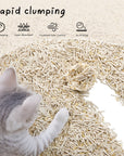 Cococat Plant-based Tofu Cat Litter