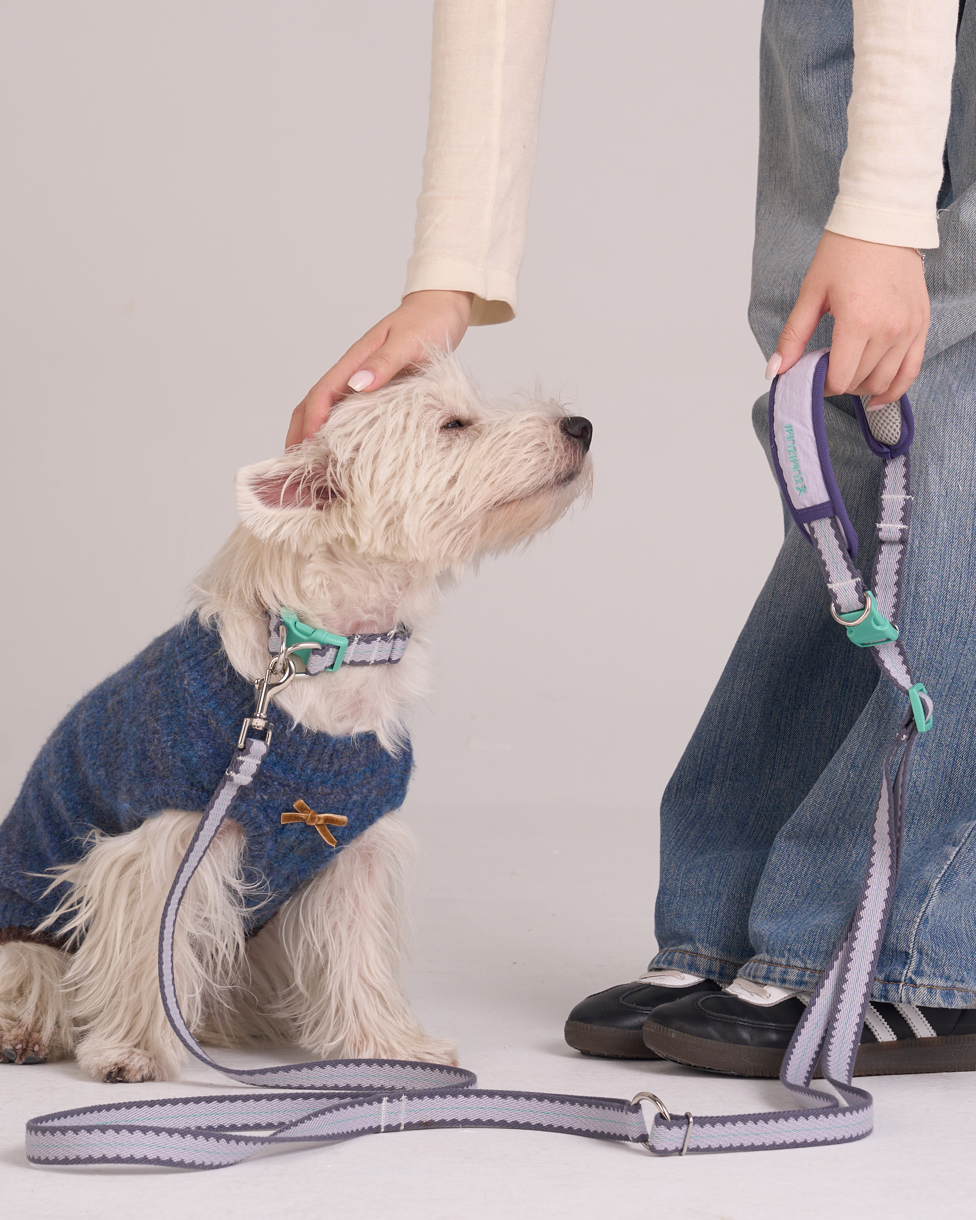 Hands Free Dog Leash Adjustable Pet Leash for Walking