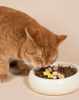 Stackable Serenity Cat Bowls