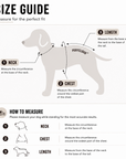 StormShield Outdoor Pet Raincoat
