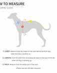 LightShield Waterproof Dog Raincoat