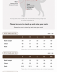2026 World Cup Champions Football Pet Tee